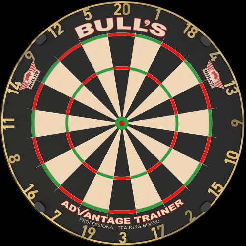 Przejdź do produktu Gold Advantage trainer Bull's Tarcza dart sizalowa