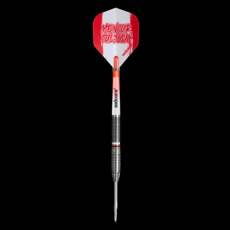 29301_M_Suljovic_steel_over.png