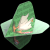51074DuckDynamic.png